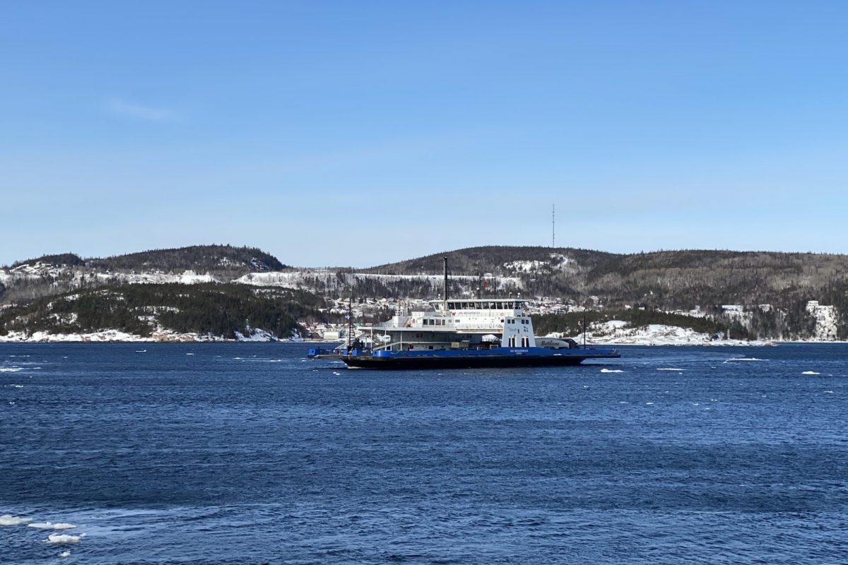 Baleine qui saute dans l'eau