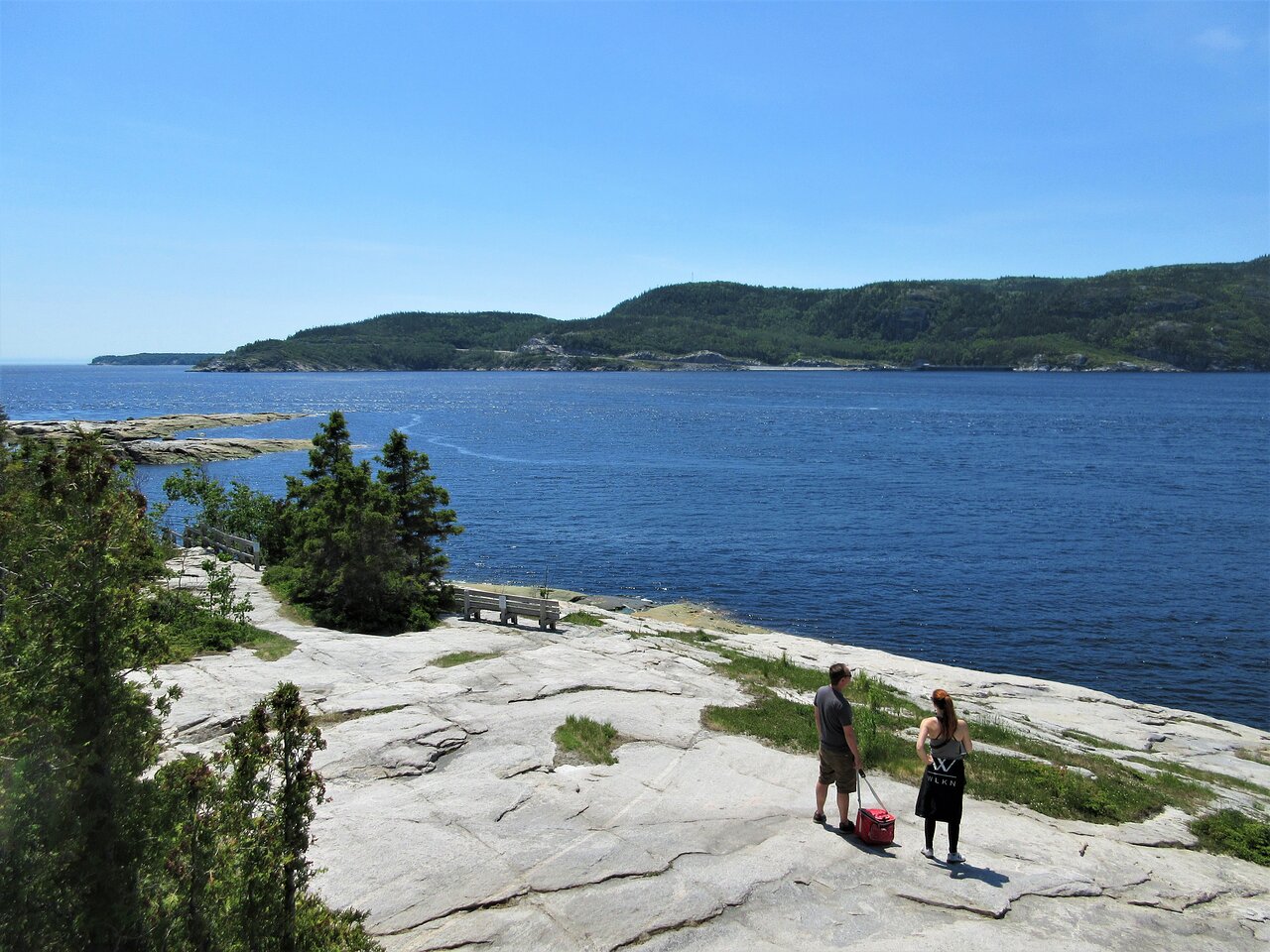 Baleine qui saute dans l'eau